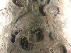 -湖南省地质博物馆