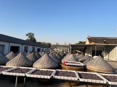 -苏州市吴中区光福窑上花果蜜饯厂