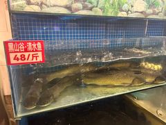 -费明中罗非鱼(大石坝店)