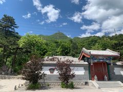 -阳台山自然风景区