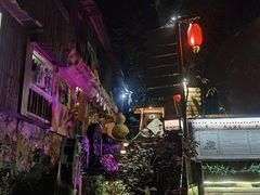 -天门沟九州驿站树上汤泉