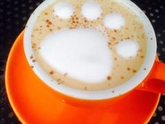 iphone_upload_pic-海边的猫和咖啡馆