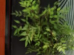 -华夏良子·足道SPA艾灸(金皇大厦店)
