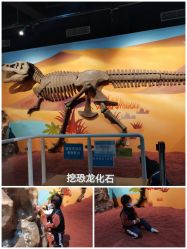 -北京科学中心儿童乐园