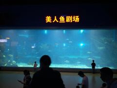 -福州罗源湾海洋世界旅游区