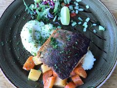 Local Fish Char-Hotel Skogafoss Bistro Bar