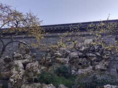 -个园