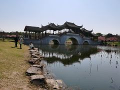 -上海海湾国家森林公园