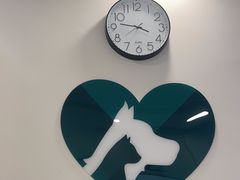 -瑞派康怡24h宠物医院·犬猫医疗中心·微创绝育(瑞景分院)