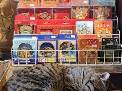 -正阳书局(西四南大街店)