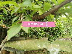 -Club Med地中海俱乐部·桂林度假村