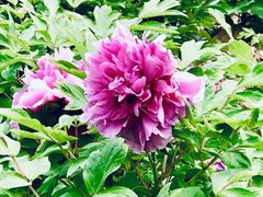-幕燕滨江·长江观音景区