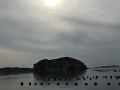 -兴旺渔家