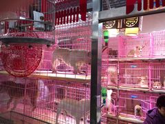 -宝鸡东道花鸟鱼虫市场(吉利花园商场店)
