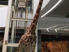 -昆明动物博物馆