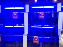 -七欣天香辣蟹火锅(苏州塔园路店)