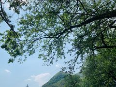 -鹿亭中村