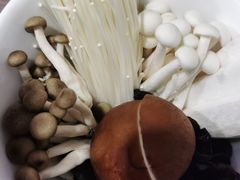 綜合養生菇-老鼎旺安格斯牛肉火锅(衡艺广场店)