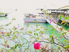 -厦门邮轮中心厦鼓码头(轮渡站)
