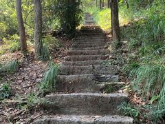 -青龙山国家森林公园