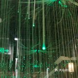 有三个小船可以定，环境很好，刚装修完的
