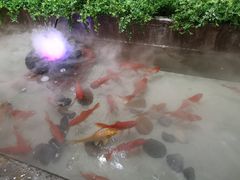 -辣不二地道川菜(汉水路店)