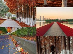 -白塘生态植物园