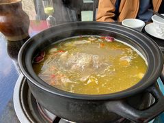 -蘑统田下·野生菌火锅