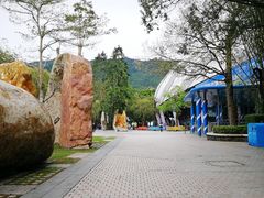 -东部华侨城