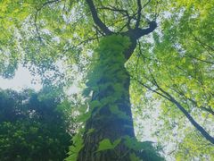 -苏州清山会议中心