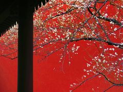 -钱王祠