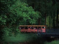 -黄海国家森林公园