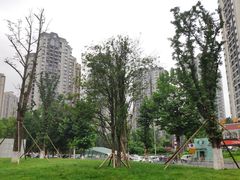 -龙头寺公园