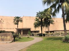 -自贡恐龙博物馆