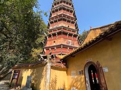-宝通禅寺