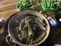 -霞姐屯昌枫木香草鸭店(海螺店)