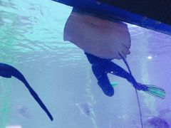 -常州海昌海洋探索馆