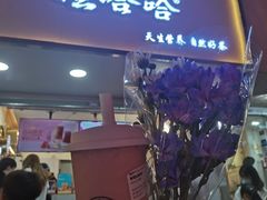 门面-娃哈哈·奶茶(武林店)