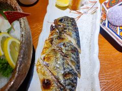 盐烤青花鱼-鳗鱼家·深夜食堂(军博店)