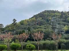 -树山生态村