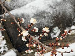 -东天目山风景区