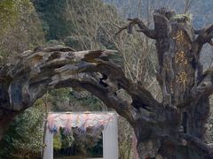 -龙湾潭国家森林公园