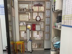 -爱哆宠物医院·骨科·外科·猫科