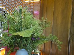 -莉莉海堂HAITANG·烤鸭(国贸商城店)