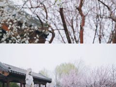 -三里河公园