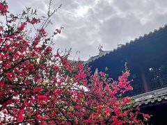 -棠湖公园