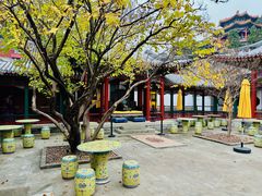 -宫事颐庭·老佛爷贵寿下午茶(颐和园店)