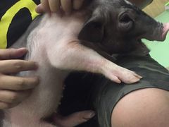 -藦茜花园宠物主题亲子互动体验馆(国顺东路店)