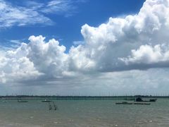 -北海金海湾红树林生态旅游区