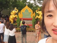 -西双版纳傣族园